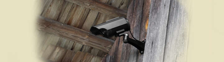 stallkamera kategorieeinstiegsbanner